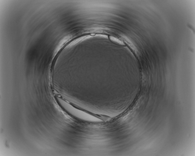 X0000095550994200801111450