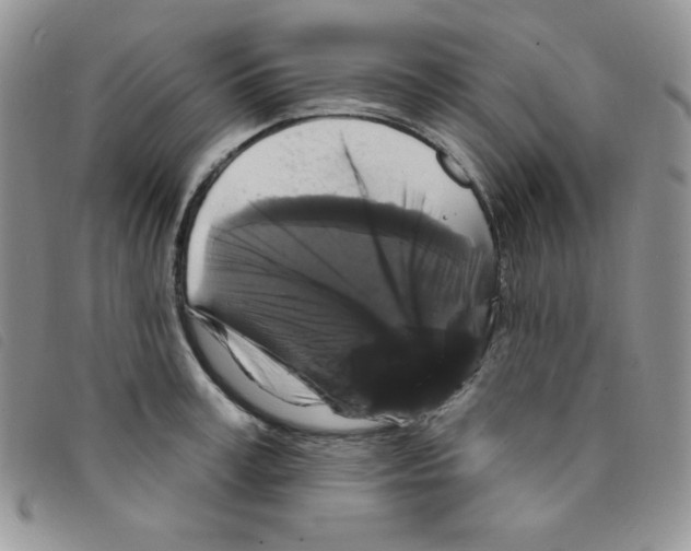 X0000095550995200801111450