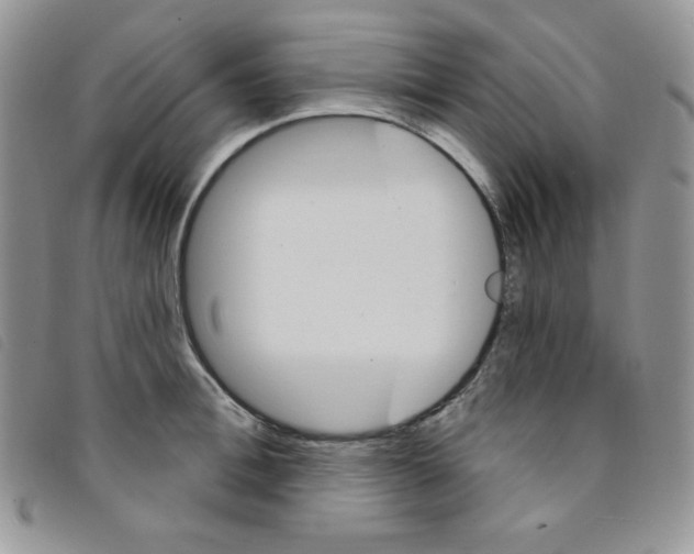 X0000095550996200801111450