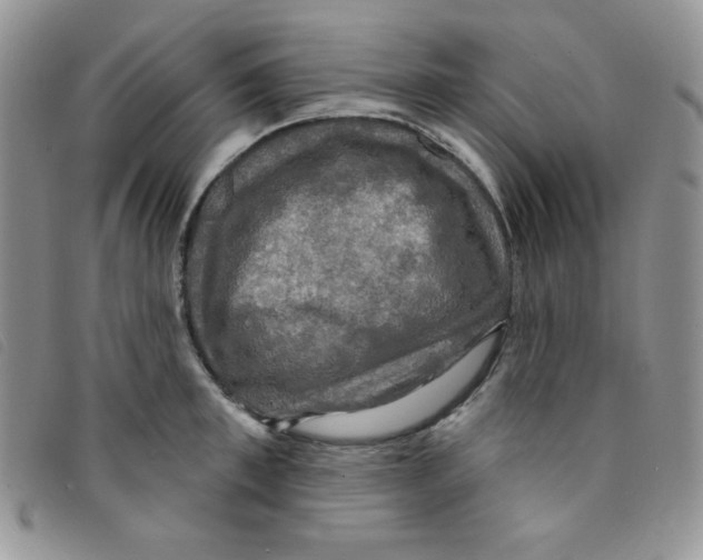 X0000095550997200801111450