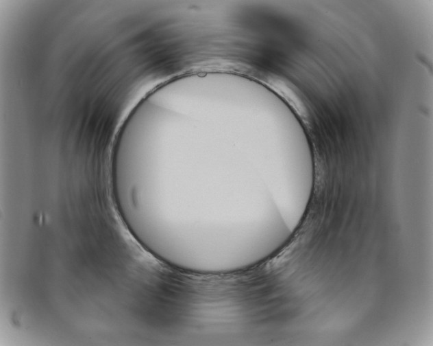 X0000095551000200801111450