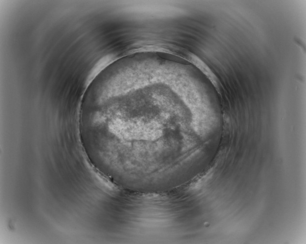 X0000095551002200801111450