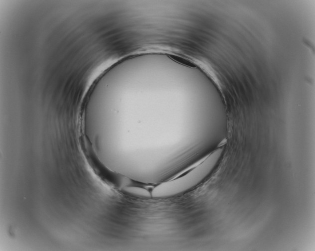 X0000095551003200801111450