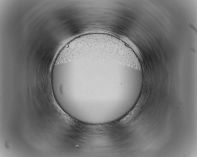 X0000095551004200801111450