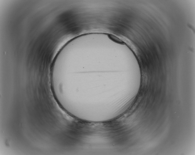 X0000095551006200801111450