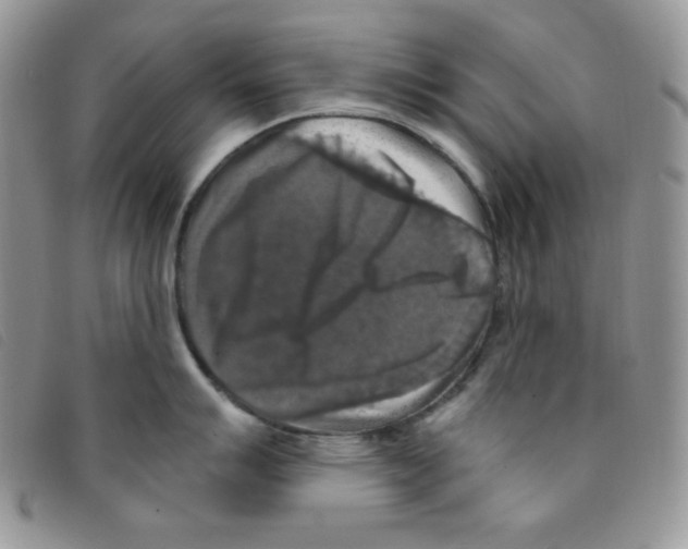 X0000095551007200801111450