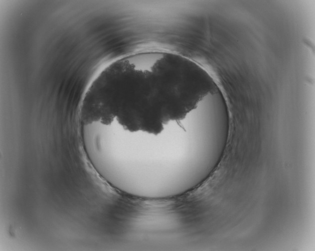 X0000095551008200801111450