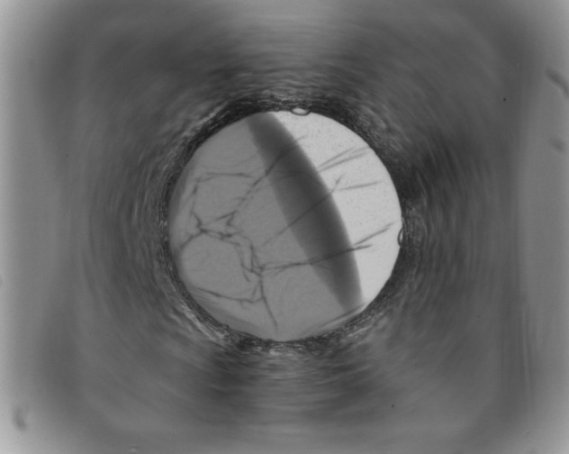 X0000095551009200801111449