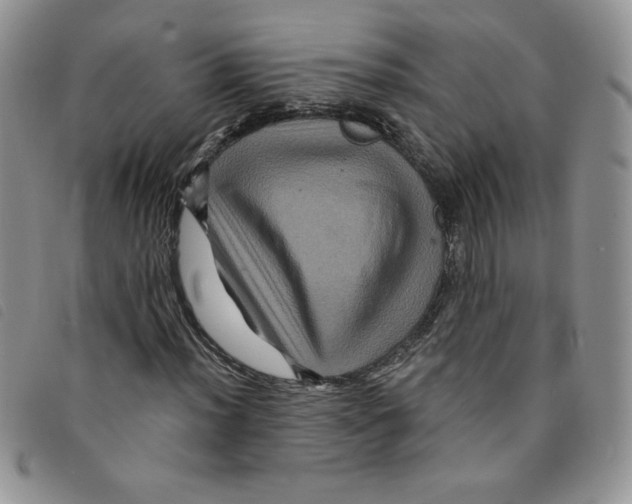 X0000095551012200801111449