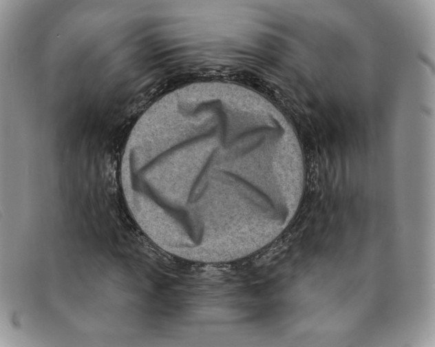 X0000095551013200801111449