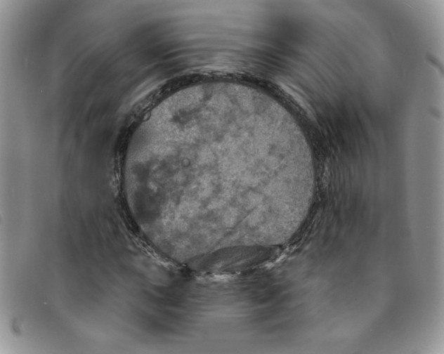 X0000095551015200801111449