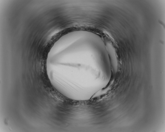 X0000095551016200801111449