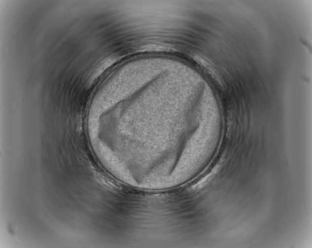 X0000095551017200801111449