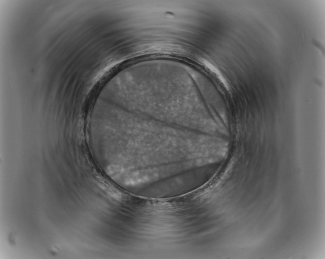 X0000095551019200801111449