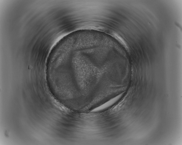 X0000095551020200801111449