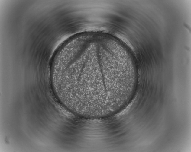 X0000095551021200801111449