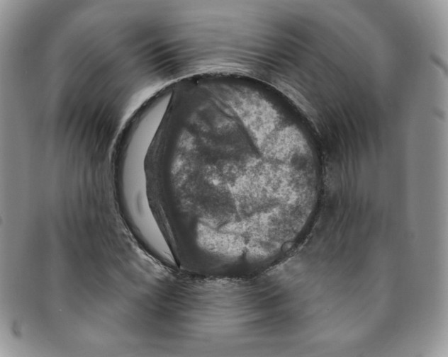 X0000095551022200801111449