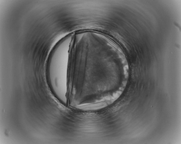 X0000095551024200801111449