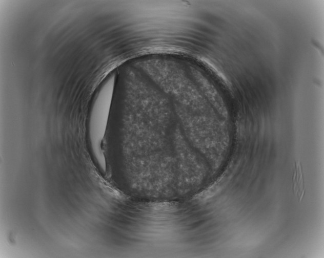 X0000095551025200801111449