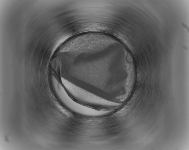 X0000095551026200801111449