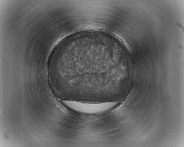 X0000095551027200801111449