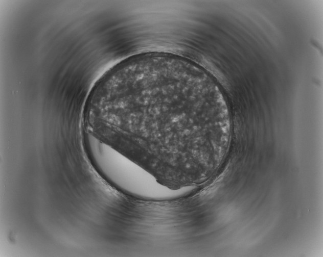 X0000095551028200801111449