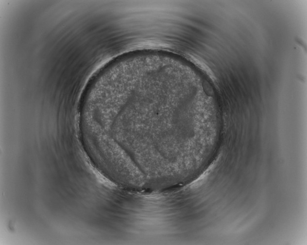 X0000095551029200801111449