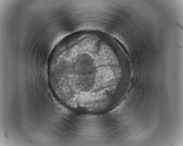 X0000095551030200801111449