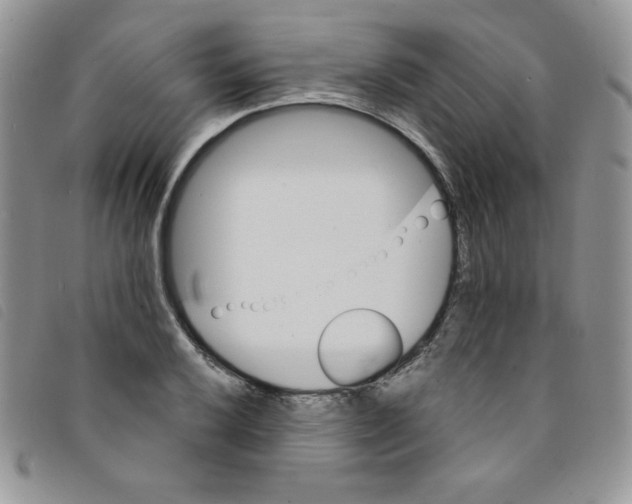 X0000095551032200801111449