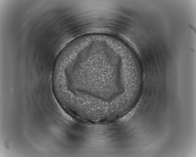 X0000095551033200801111449