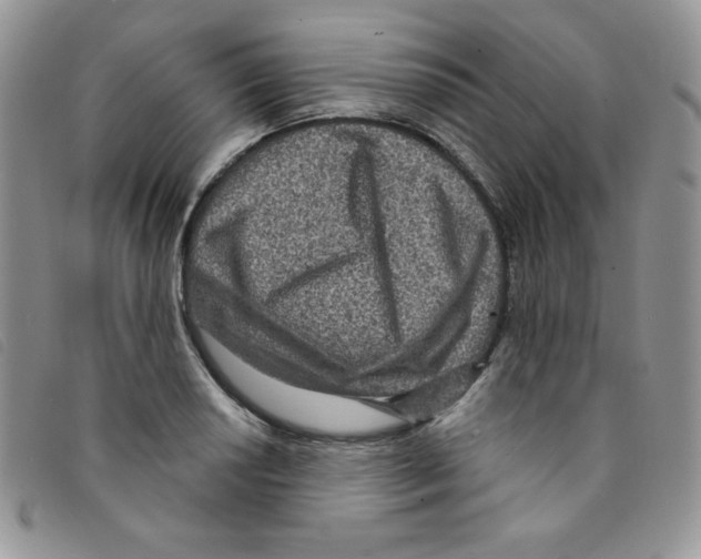 X0000095551034200801111449