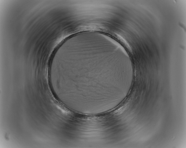 X0000095551035200801111449