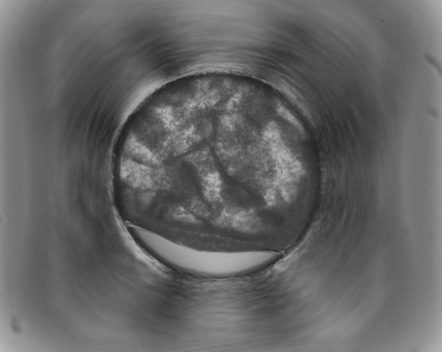 X0000095551038200801111449