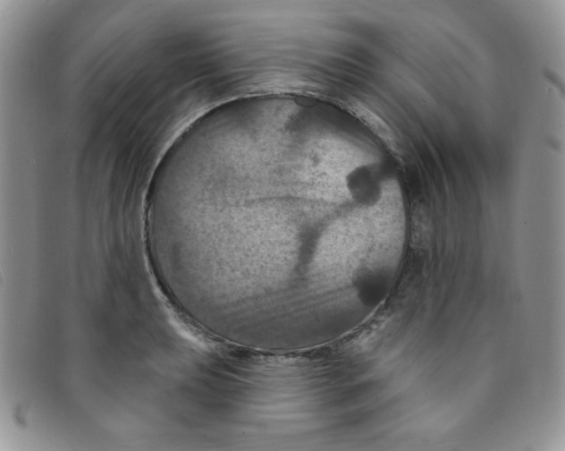 X0000095551039200801111449