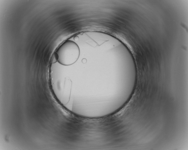 X0000095551040200801111449