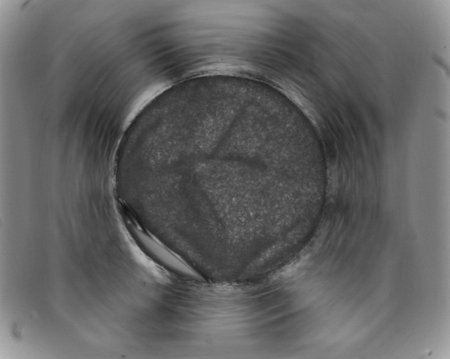 X0000095551042200801111449