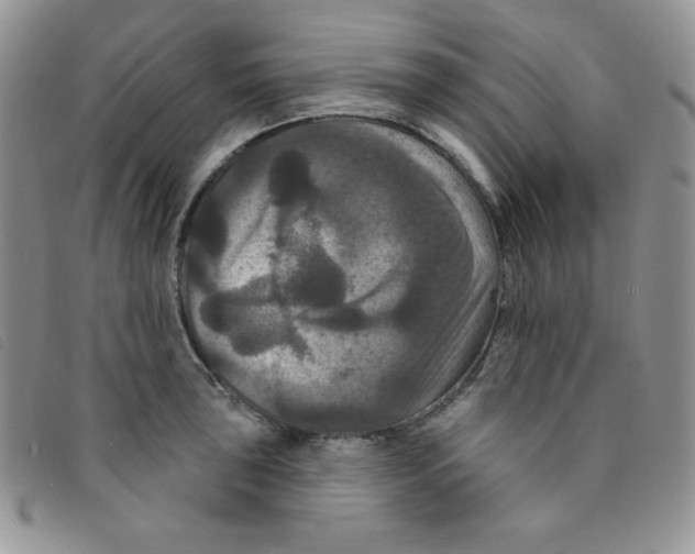 X0000095551043200801111449