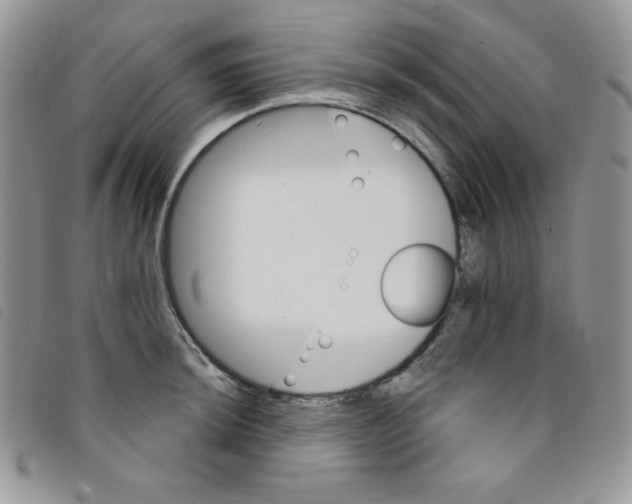 X0000095551044200801111449