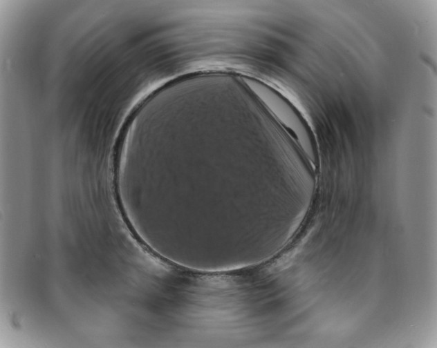 X0000095551045200801111449