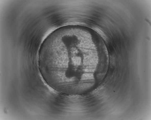 X0000095551046200801111449