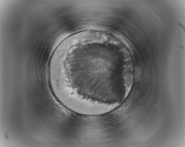 X0000095551048200801111449