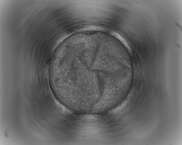 X0000095551049200801111449