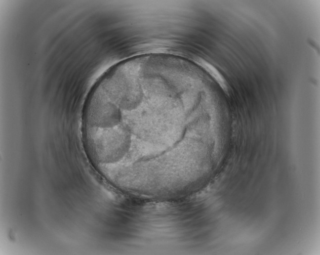 X0000095551051200801111449