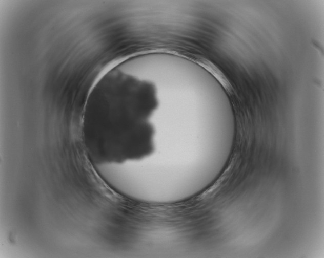 X0000095551052200801111449