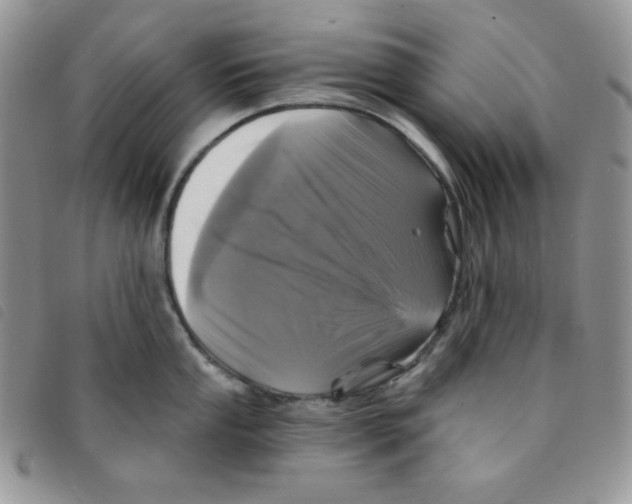 X0000095551053200801111449