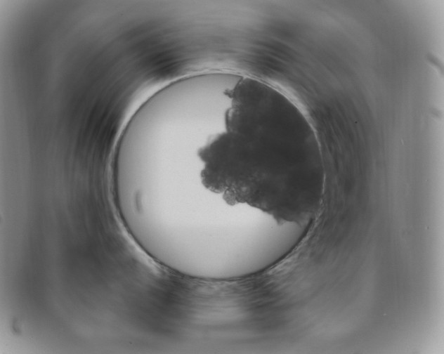 X0000095551056200801111450