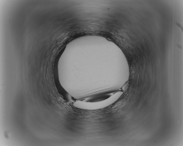 X0000095551057200801111449