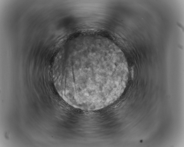 X0000095551059200801111449