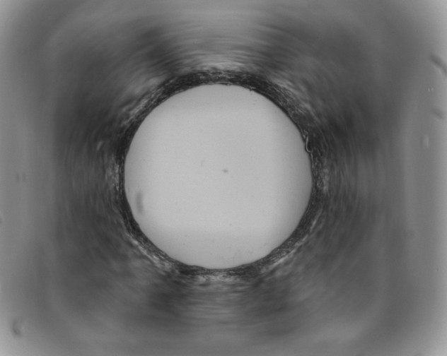 X0000095551061200801111449