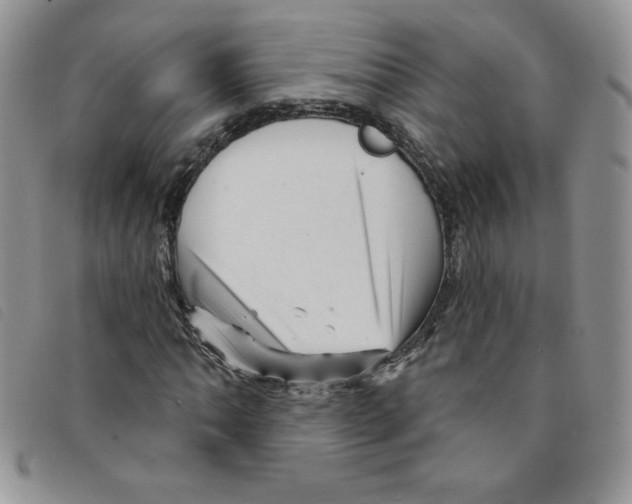 X0000095551062200801111449